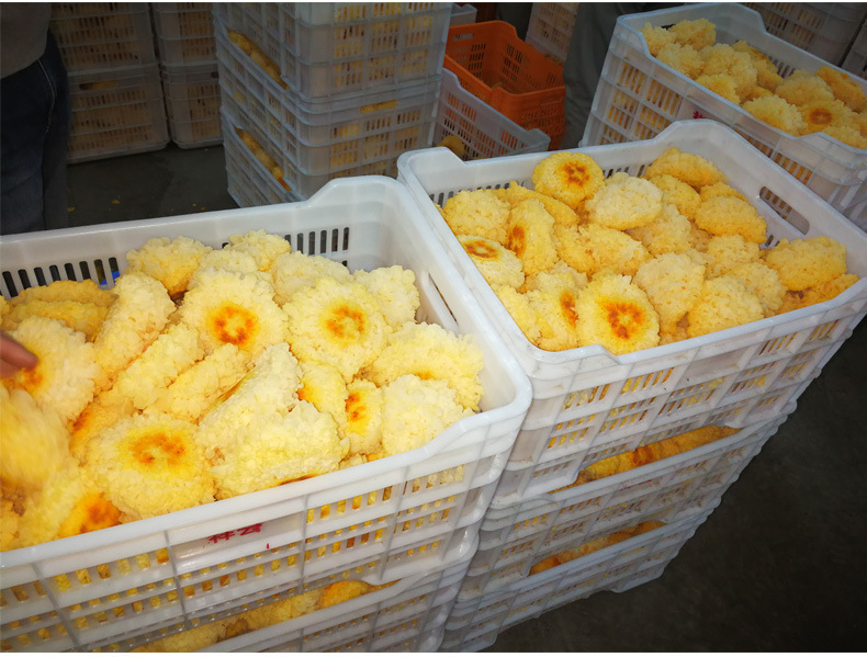 古田银耳无硫白木耳雪耳原产地直供有sc